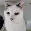 Photo of Percy