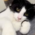 Photo of Stripe