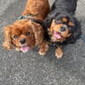 Photo of Maggie & Stella