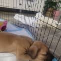 Photo of Bb