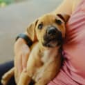 Photo of Bb