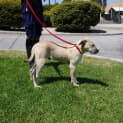 Photo of Spike