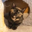 Photo of Milly