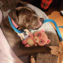 Photo of Charlee