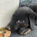 Photo of Matilda