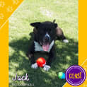 Photo of Jack