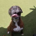 Photo of Hugo