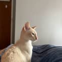 Photo of Benny & Reggie