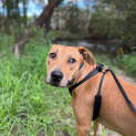 Photo of Lily