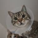 Photo of Beautiful Honey