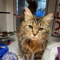 Photo of Molly