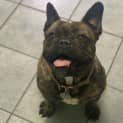 Photo of Fi Fi