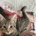 Photo of Fiona