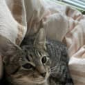 Photo of Fiona