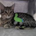 Photo of Fiona