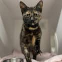 Photo of Ellie