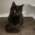 Photo of Maya