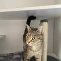 Photo of Duchess