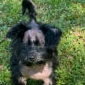 Photo of Maverick 