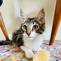 Photo of Chester   Located In Fairfield