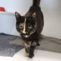 Photo of Holly