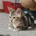 Photo of Tonino 