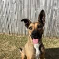 Photo of Jax