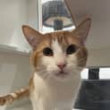 Photo of Baby Peaches
