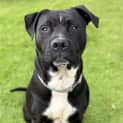 Photo of Murphy