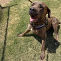 Photo of Major