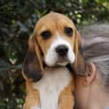 Photo of Coco