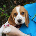 Photo of Zena