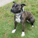 Photo of Buffy