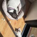 Photo of Shihiro   Located In Bentleigh East