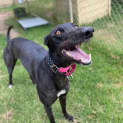 Photo of Violet
