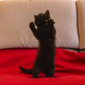 Photo of Nina