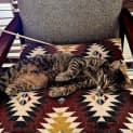 Photo of Cleopatra