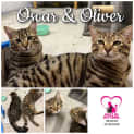 Photo of Oscar & Oliver