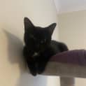 Photo of Winky