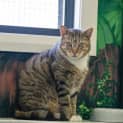 Photo of Tom Tom