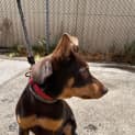 Photo of Timtam