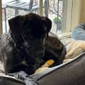 Photo of Bonnie