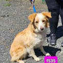 Photo of Bonnie