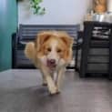 Photo of Maggie