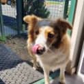 Photo of Maggie