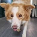 Photo of Maggie