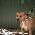 Photo of Loca
