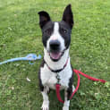 Photo of Hercules 