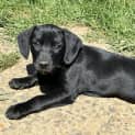 Photo of Jäger