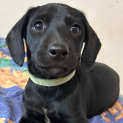 Photo of Jäger